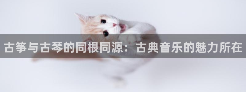 凯发k8娱乐平台下载:古筝与古琴的同根同源:古典音乐的魅力所