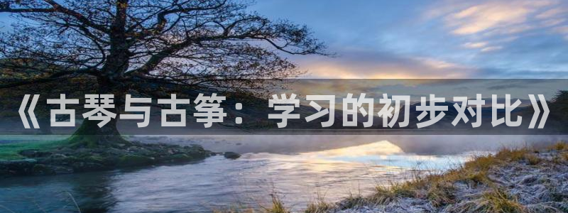 凯发娱乐唯一官网:《古琴与古筝:学习的初步对比》