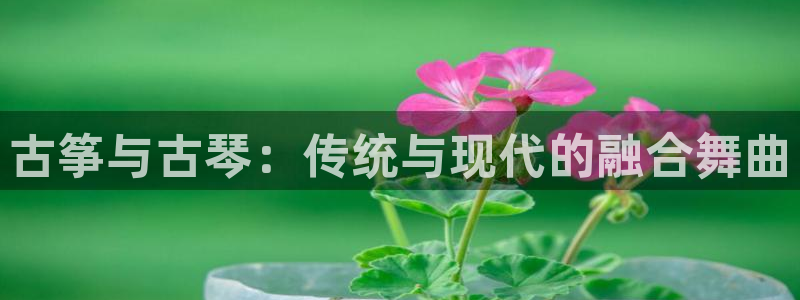 凯发k8官方网娱乐官方真:古筝与古琴:传统与现代的融合舞曲